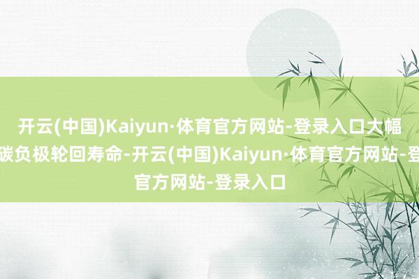 开云(中国)Kaiyun·体育官方网站-登录入口大幅升迁硅碳负极轮回寿命-开云(中国)Kaiyun·体育官方网站-登录入口