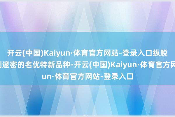 开云(中国)Kaiyun·体育官方网站-登录入口纵脱践诺市集剖判邃密的名优特新品种-开云(中国)Kaiyun·体育官方网站-登录入口