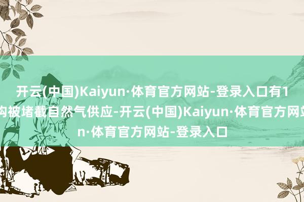 开云(中国)Kaiyun·体育官方网站-登录入口有12家国度机构被堵截自然气供应-开云(中国)Kaiyun·体育官方网站-登录入口