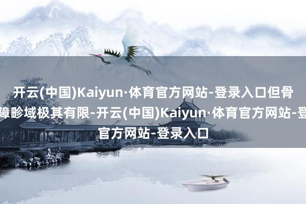 开云(中国)Kaiyun·体育官方网站-登录入口但骨子上保障畛域极其有限-开云(中国)Kaiyun·体育官方网站-登录入口