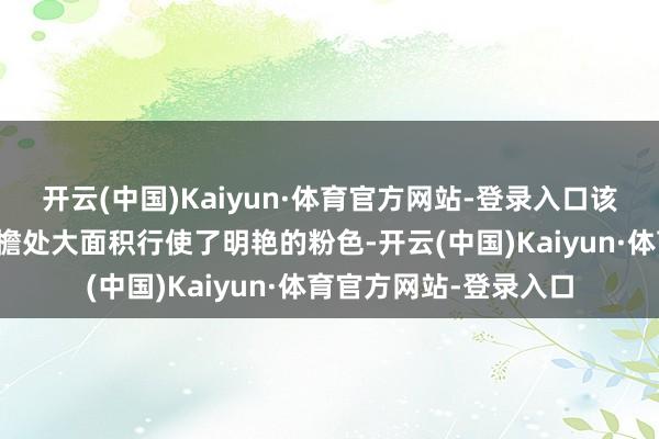 开云(中国)Kaiyun·体育官方网站-登录入口该建筑不仅在墙体与屋檐处大面积行使了明艳的粉色-开云(中国)Kaiyun·体育官方网站-登录入口