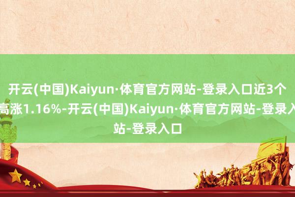 开云(中国)Kaiyun·体育官方网站-登录入口近3个月高涨1.16%-开云(中国)Kaiyun·体育官方网站-登录入口