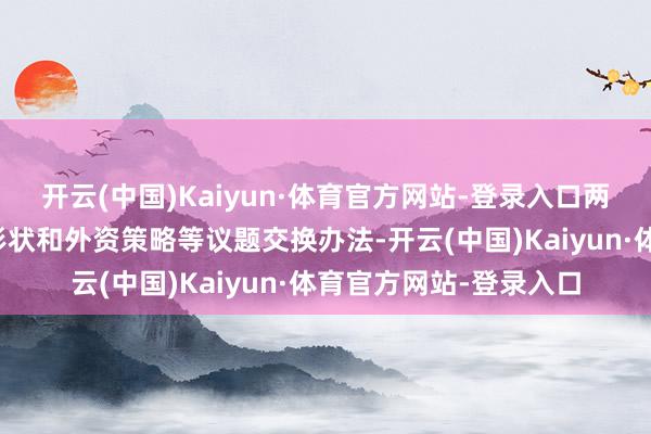 开云(中国)Kaiyun·体育官方网站-登录入口两边要点就宏不雅经济形状和外资策略等议题交换办法-开云(中国)Kaiyun·体育官方网站-登录入口