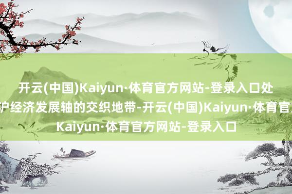 开云(中国)Kaiyun·体育官方网站-登录入口处在黄河流域和京沪经济发展轴的交织地带-开云(中国)Kaiyun·体育官方网站-登录入口