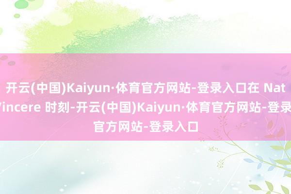 开云(中国)Kaiyun·体育官方网站-登录入口在 Natus Vincere 时刻-开云(中国)Kaiyun·体育官方网站-登录入口